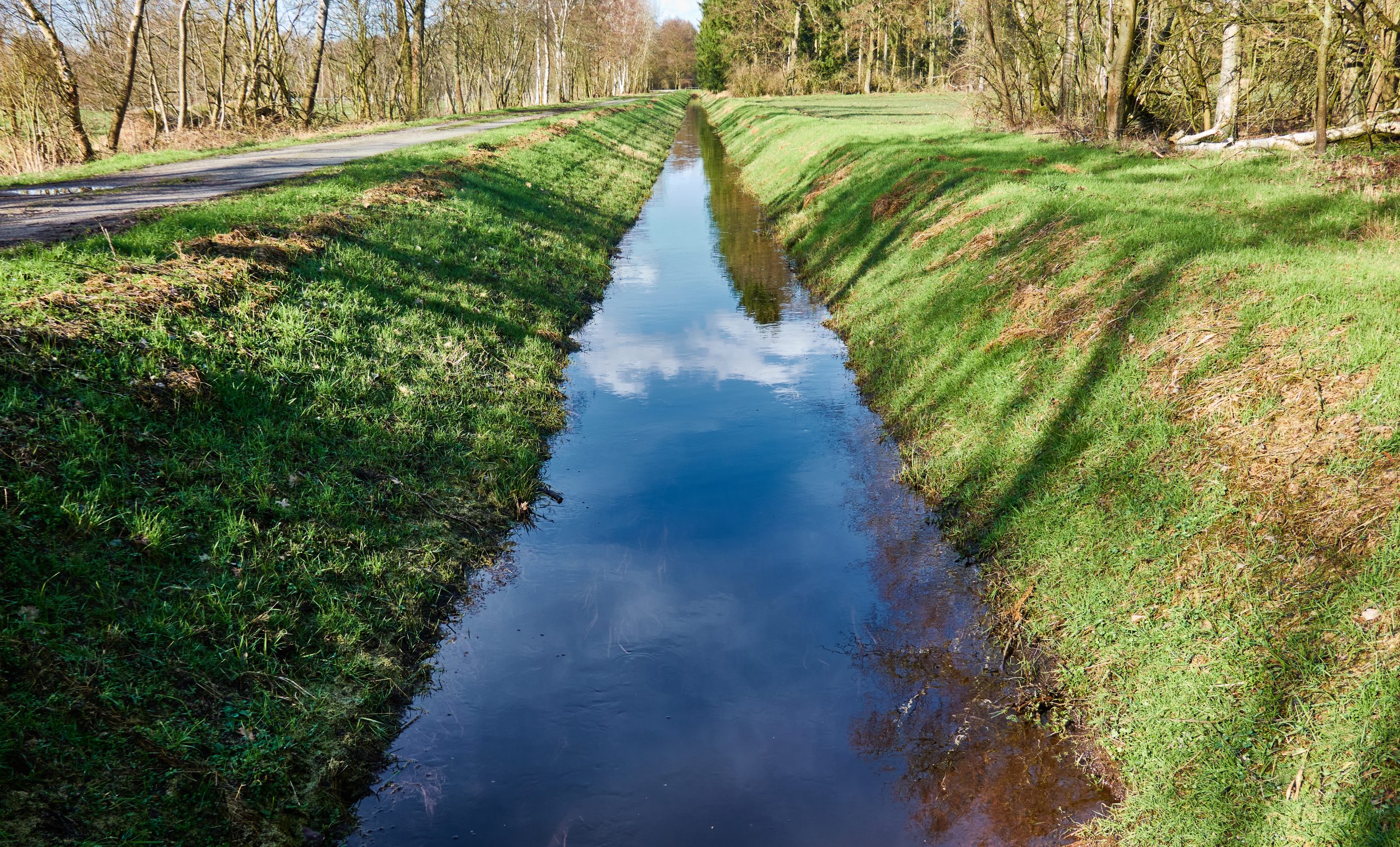 Drainage ditch to drain the moor area, with embankments with gra